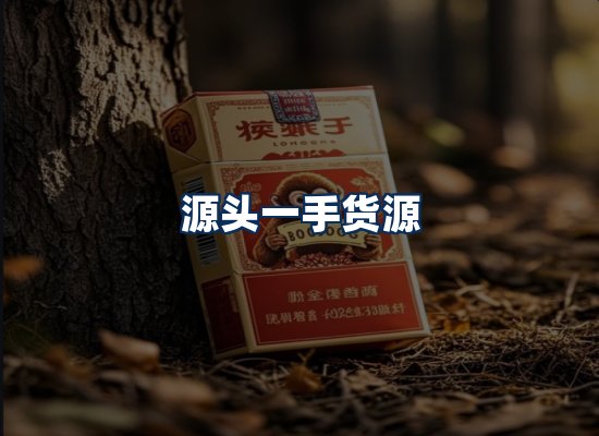 专业团队办公环境